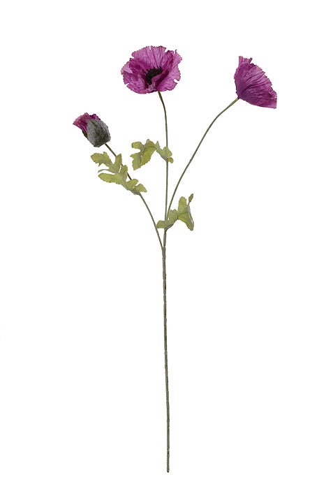 28.5" Poppy Spray Violet