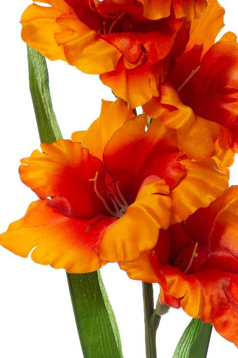 36" Silk Gladiolus Spray Orange