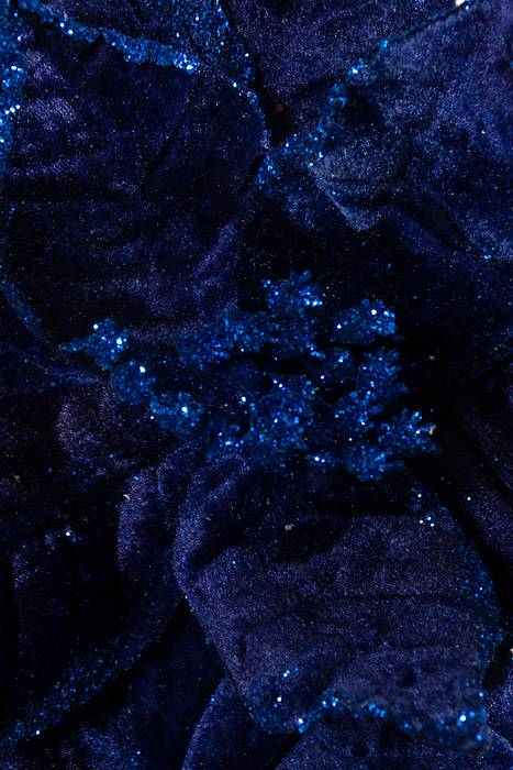 16" Poinsettia Pick W/1 Leaf Navy Blue