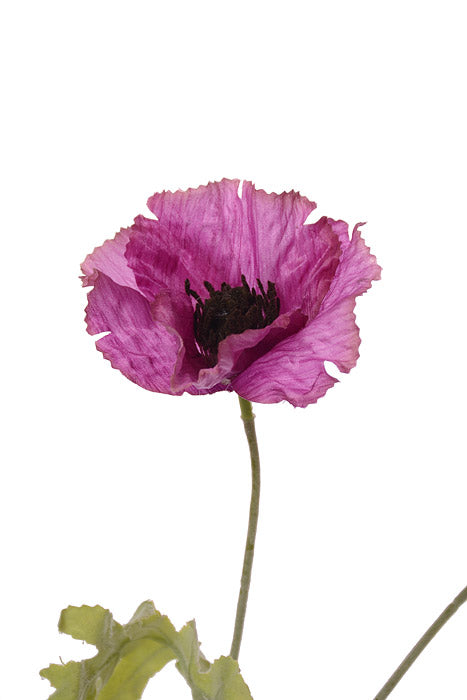 28.5" Poppy Spray Violet