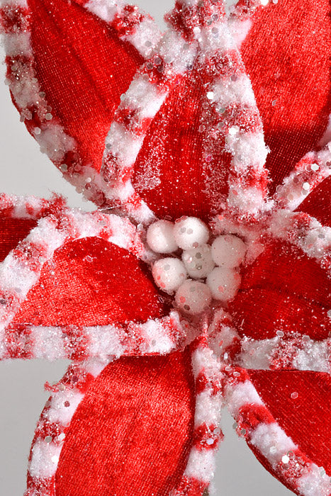 22" Candy with Snow Glitter Poinsettia Stem Red/White