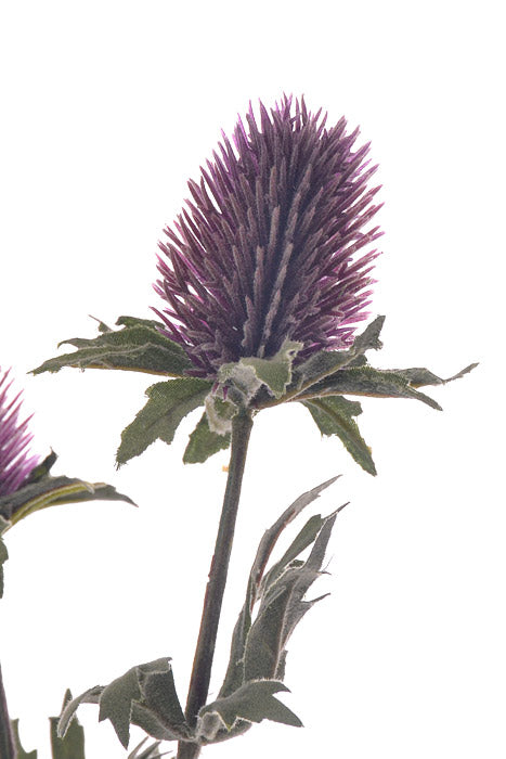 31" Thistle Spray Lavender