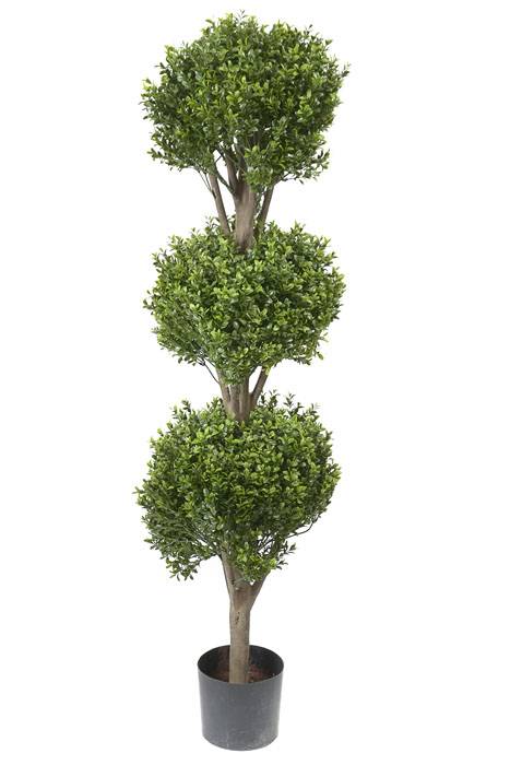 4ft Triple Ball Boxwood Topiary Tree In Pot Green