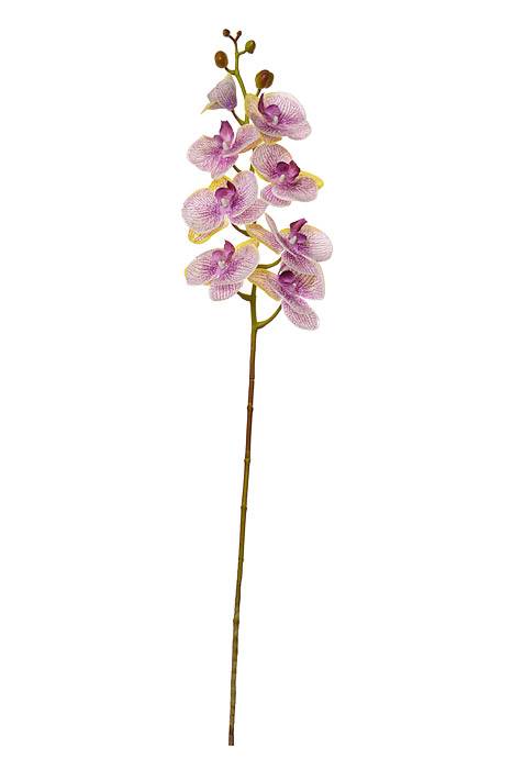40" Silk Phalaenopsis Spray Green Lavender