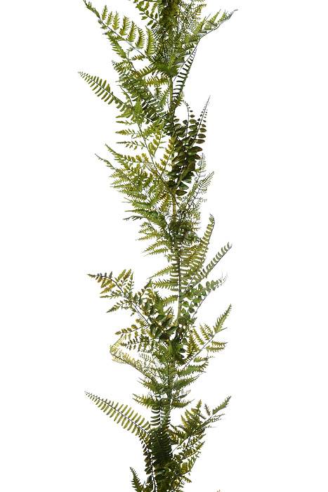 5ft Mixed Fern Garland Green