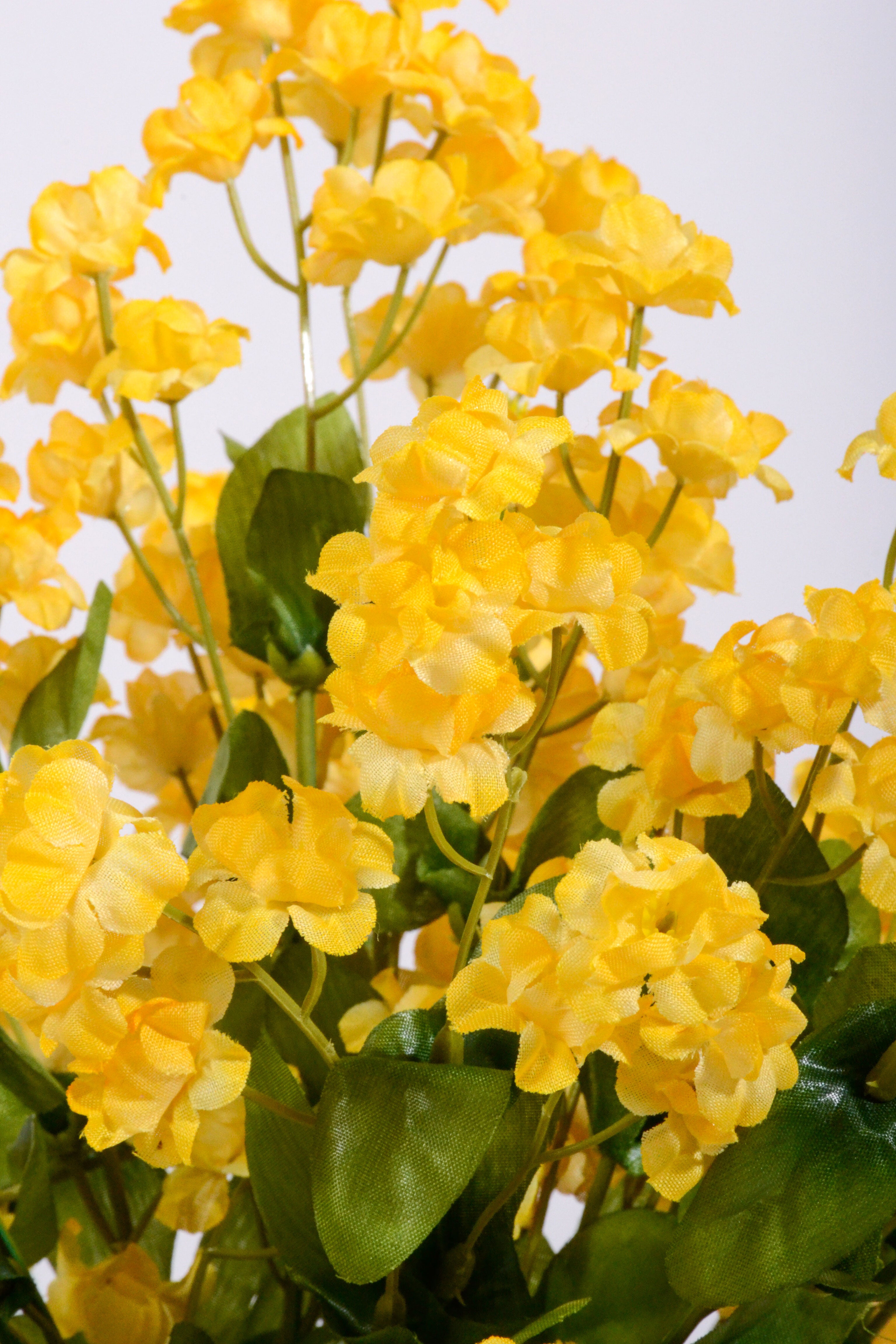 19" Double Baby Breath Spray Gold Pkg/6