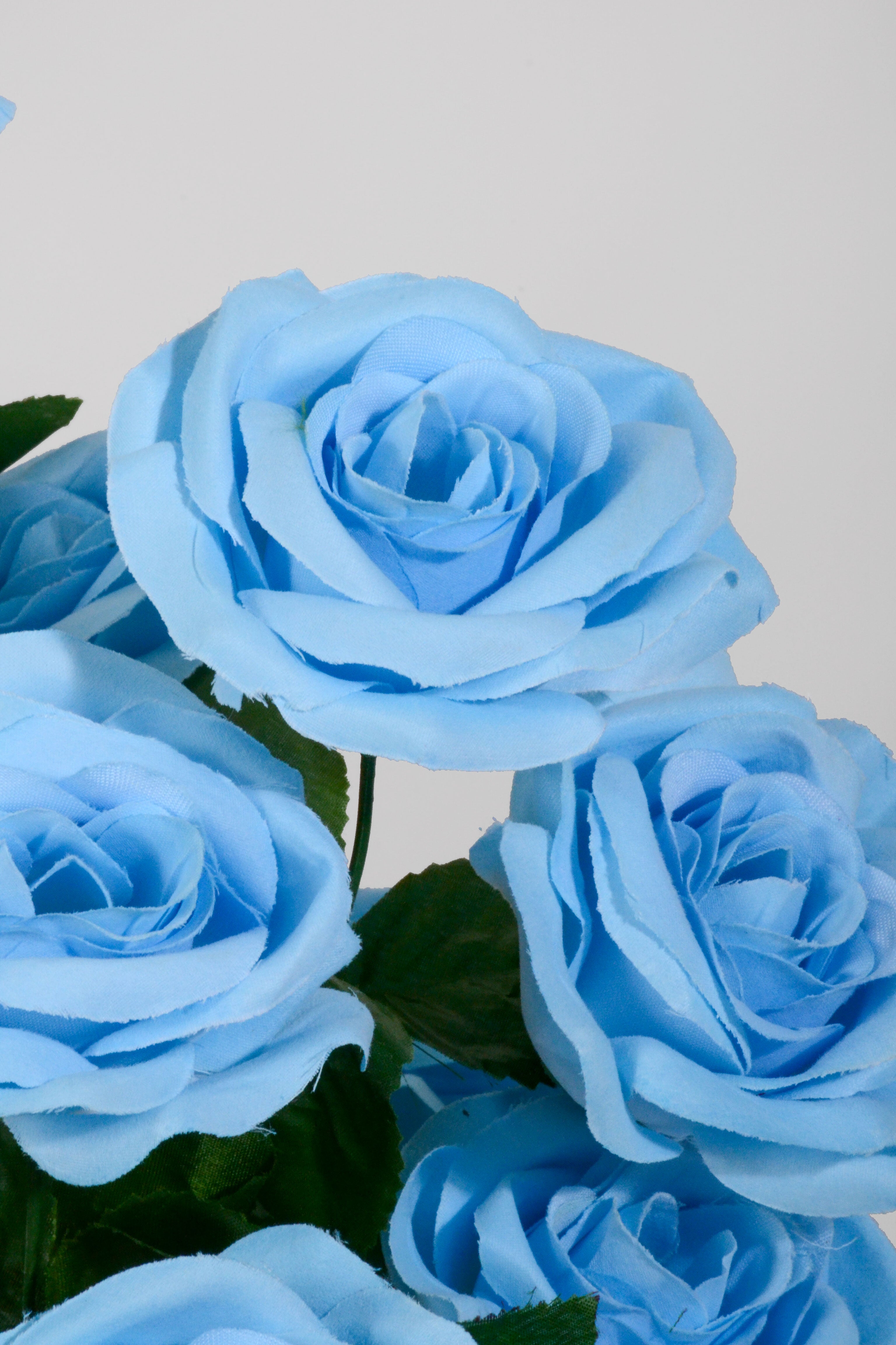 22" Silk Micro Peach Rose Bush Light Blue