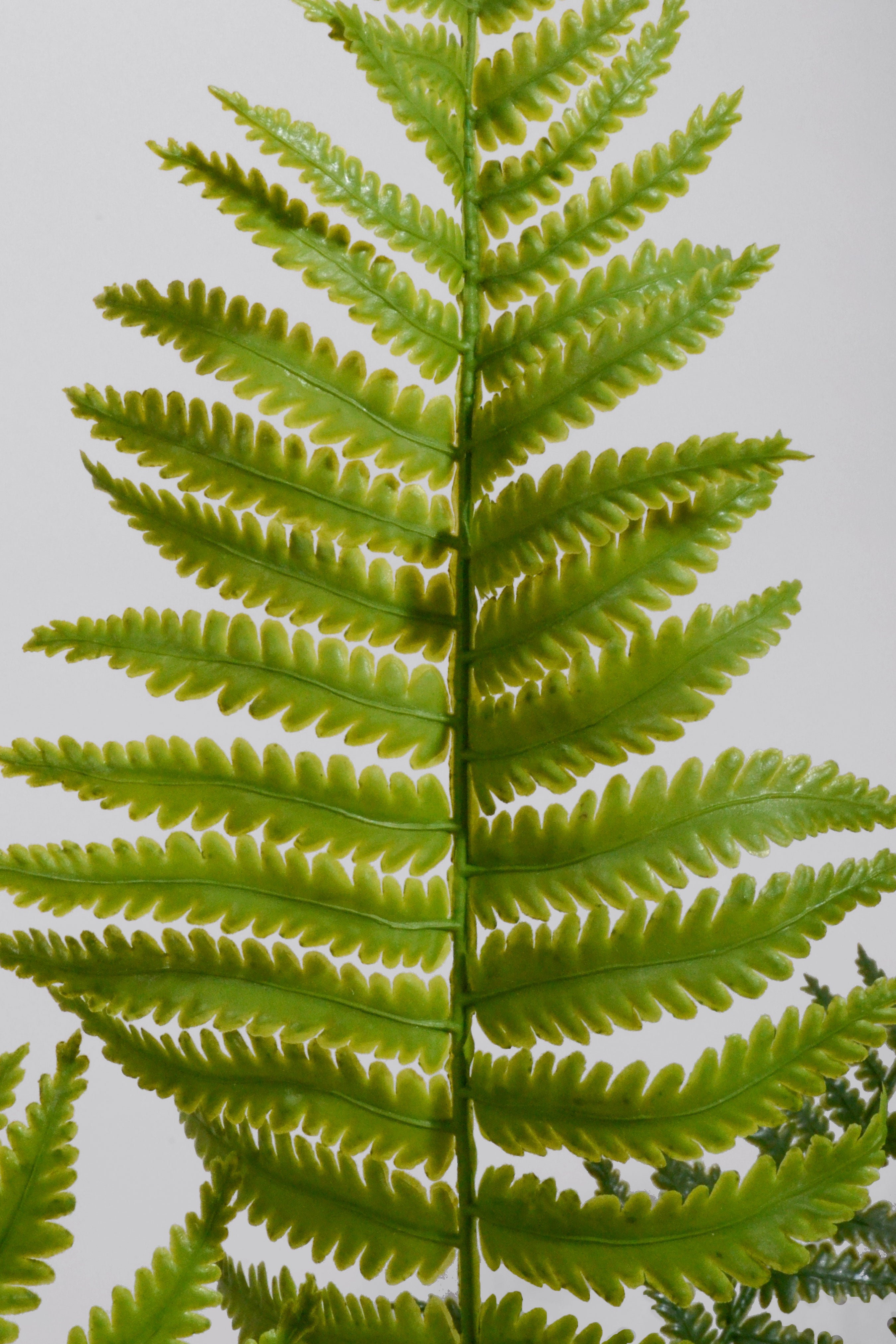 28" Real Touch Ruffle Fern Green