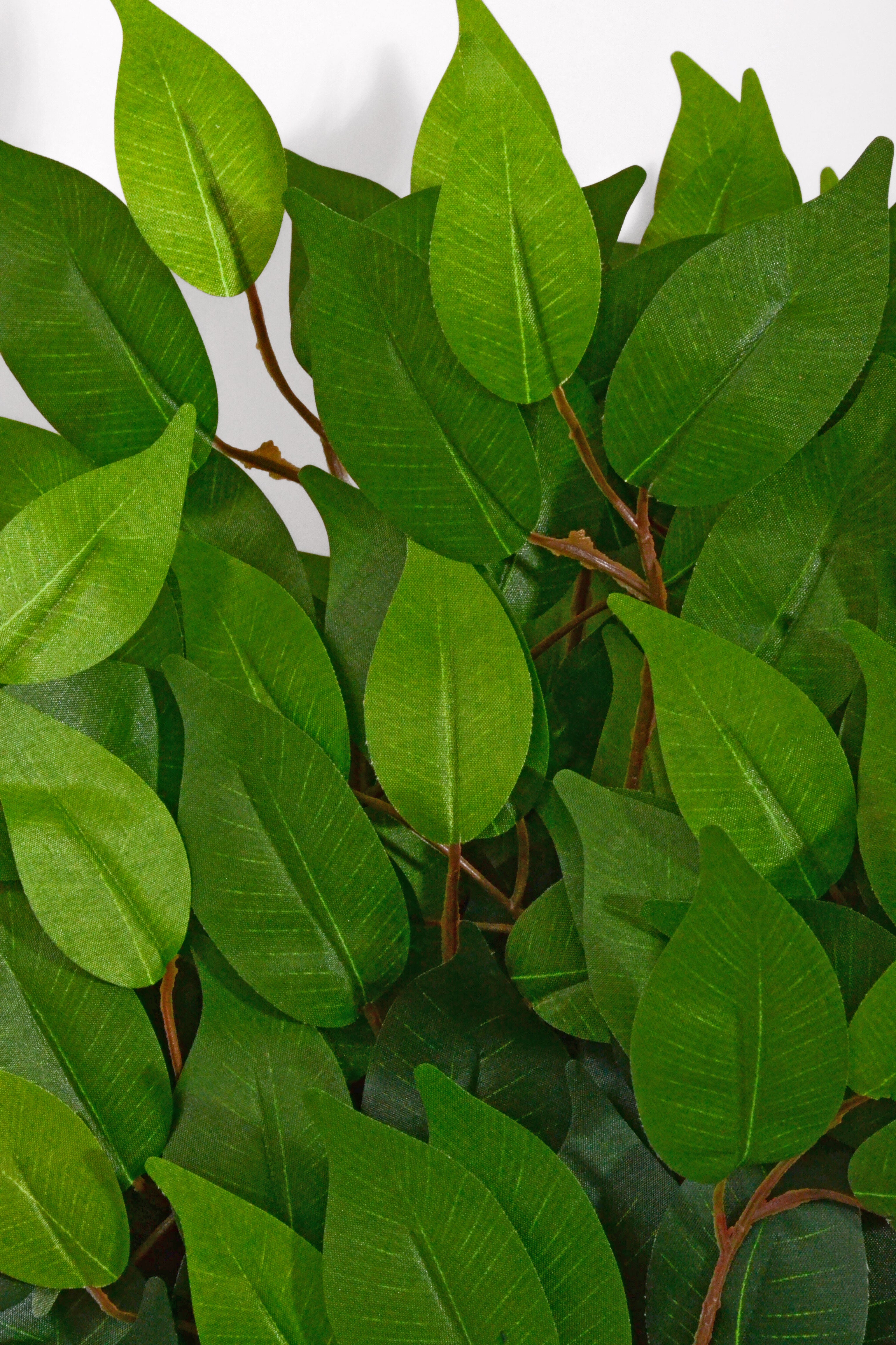 23" Artificial Uv Ficus Spray Green Pkg/12