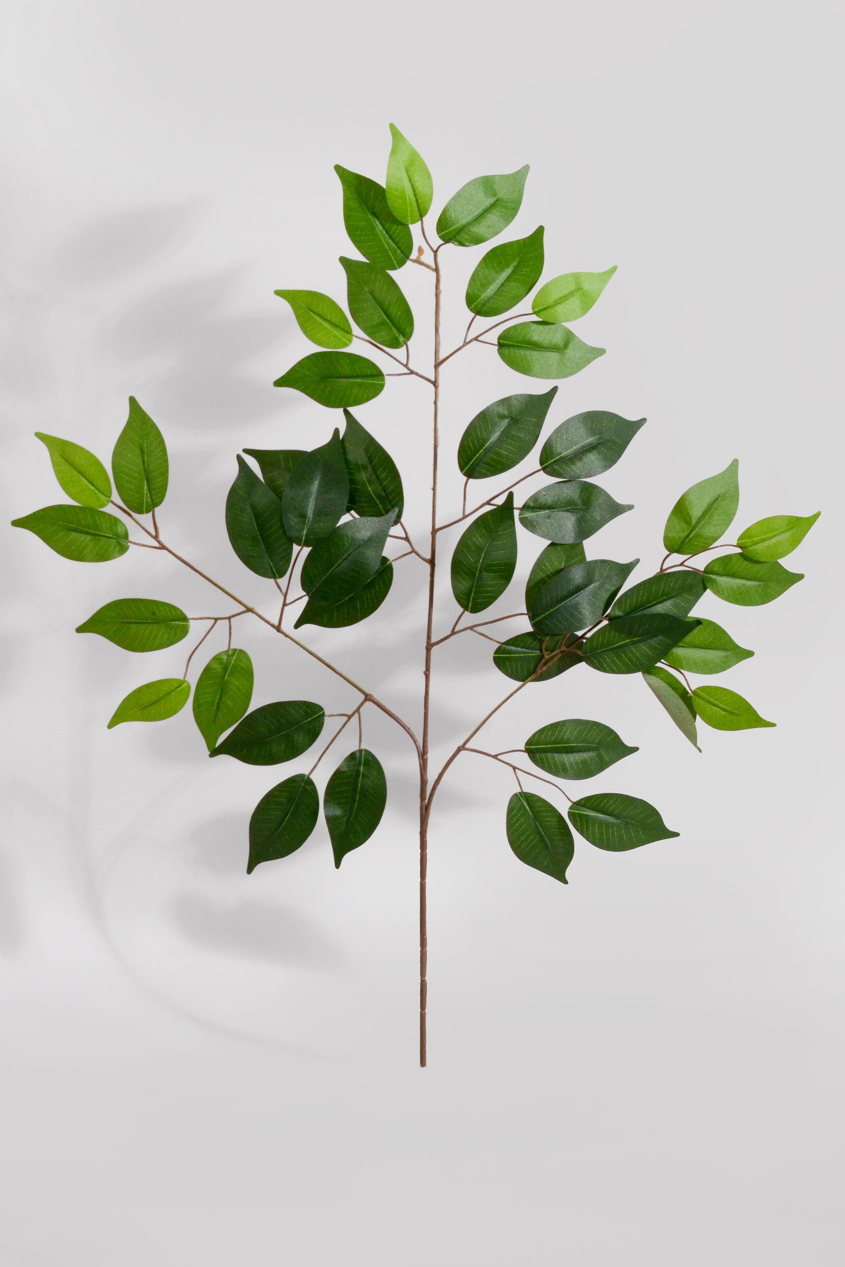 23" Artificial Uv Ficus Spray Green Pkg/12