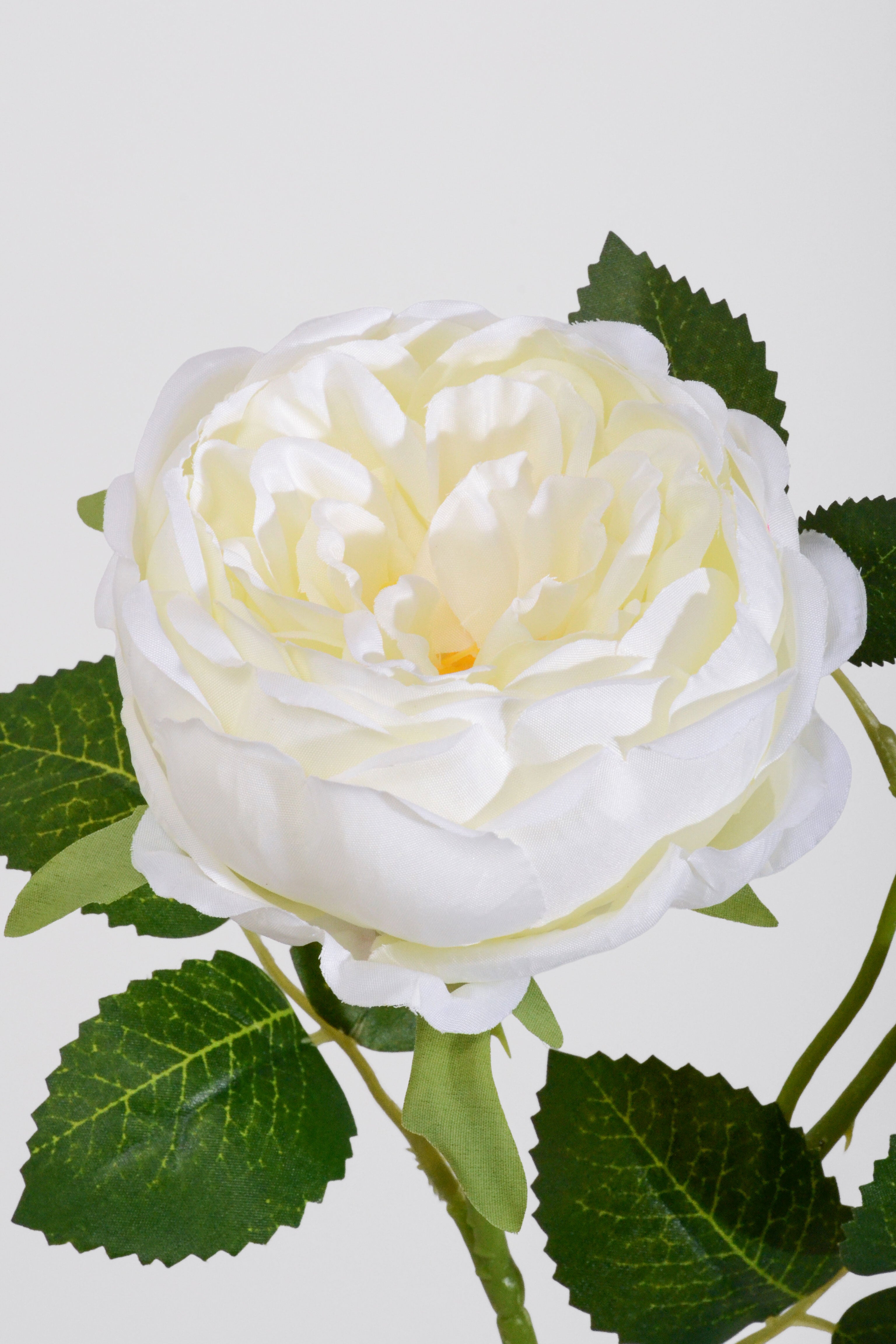 25.5" Silk Rose Spray Cream
