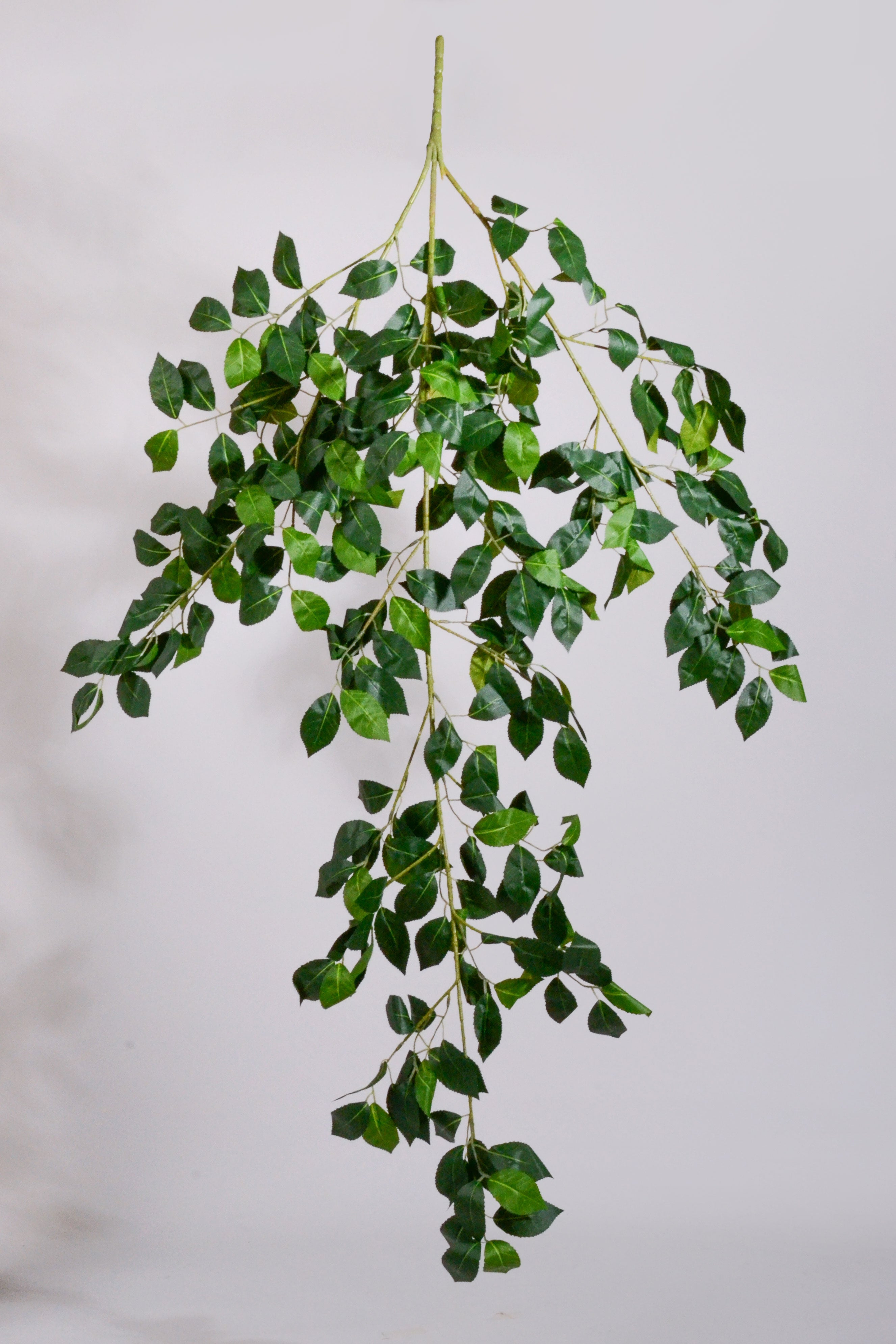 52" Hanging Camellia Leaf Bush Green