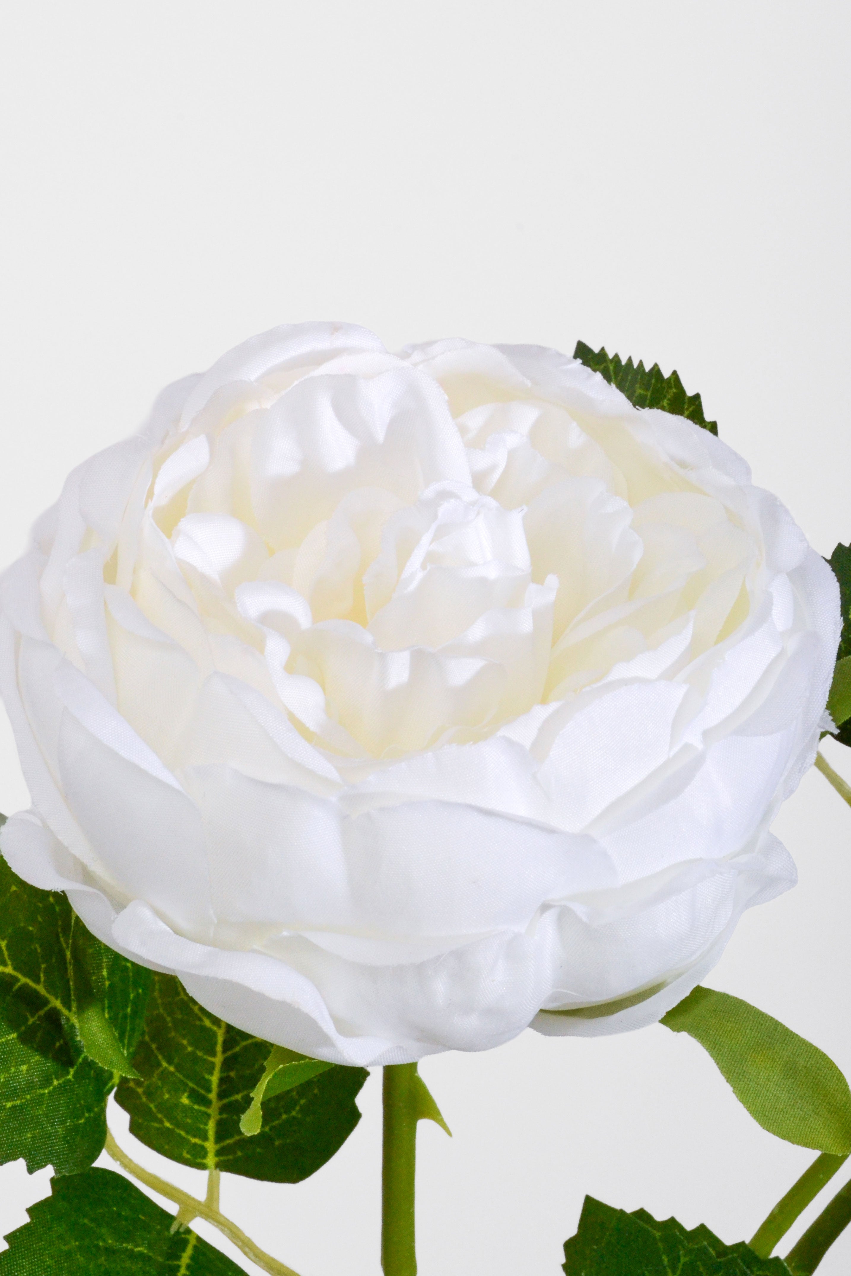 25.5" Silk Rose Spray White