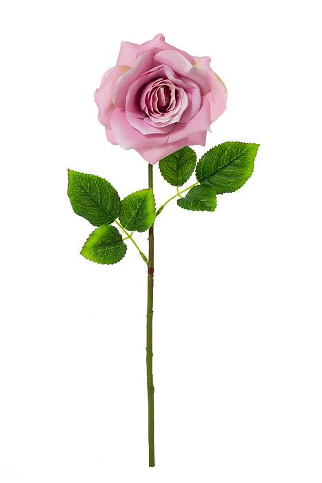 20" Open Rose Stem Lilac