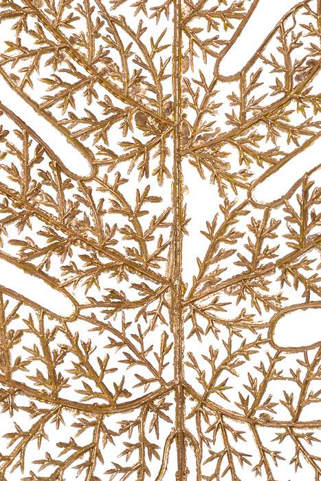 25.5" Metallic Montera Leaf Spray Gold
