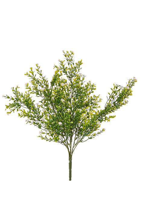 19" Gypso Bush Cream