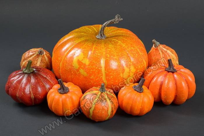 Style Mix Pumpkins In Net Fall Pkg/8