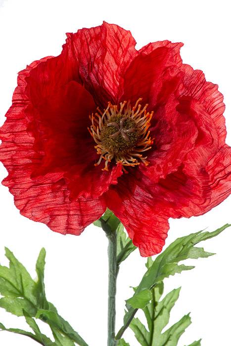 28" Silk Poppy Spray Red