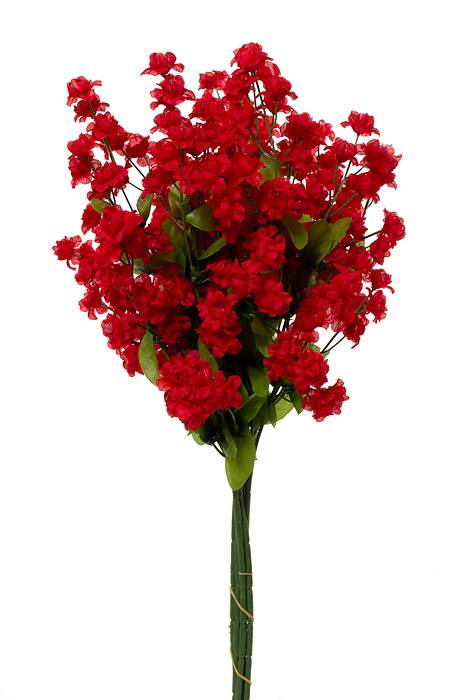 19" Double Baby Breath (Red) Pkg/6