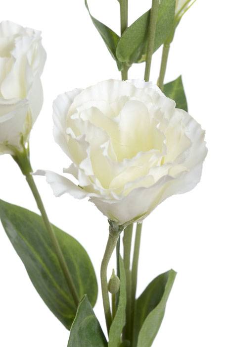 30" Silk Lisianthus Spray Cream/white