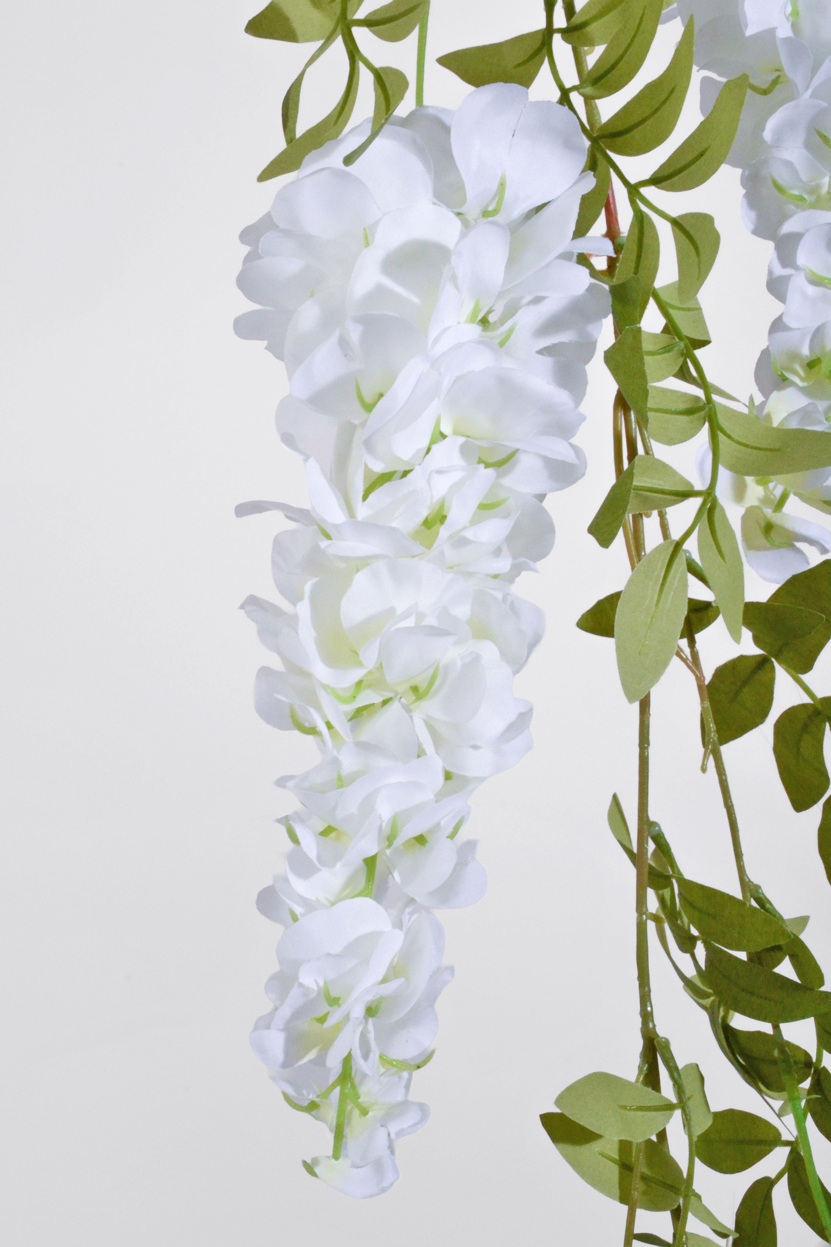 6Ft Artificial Wisteria Garland Cream