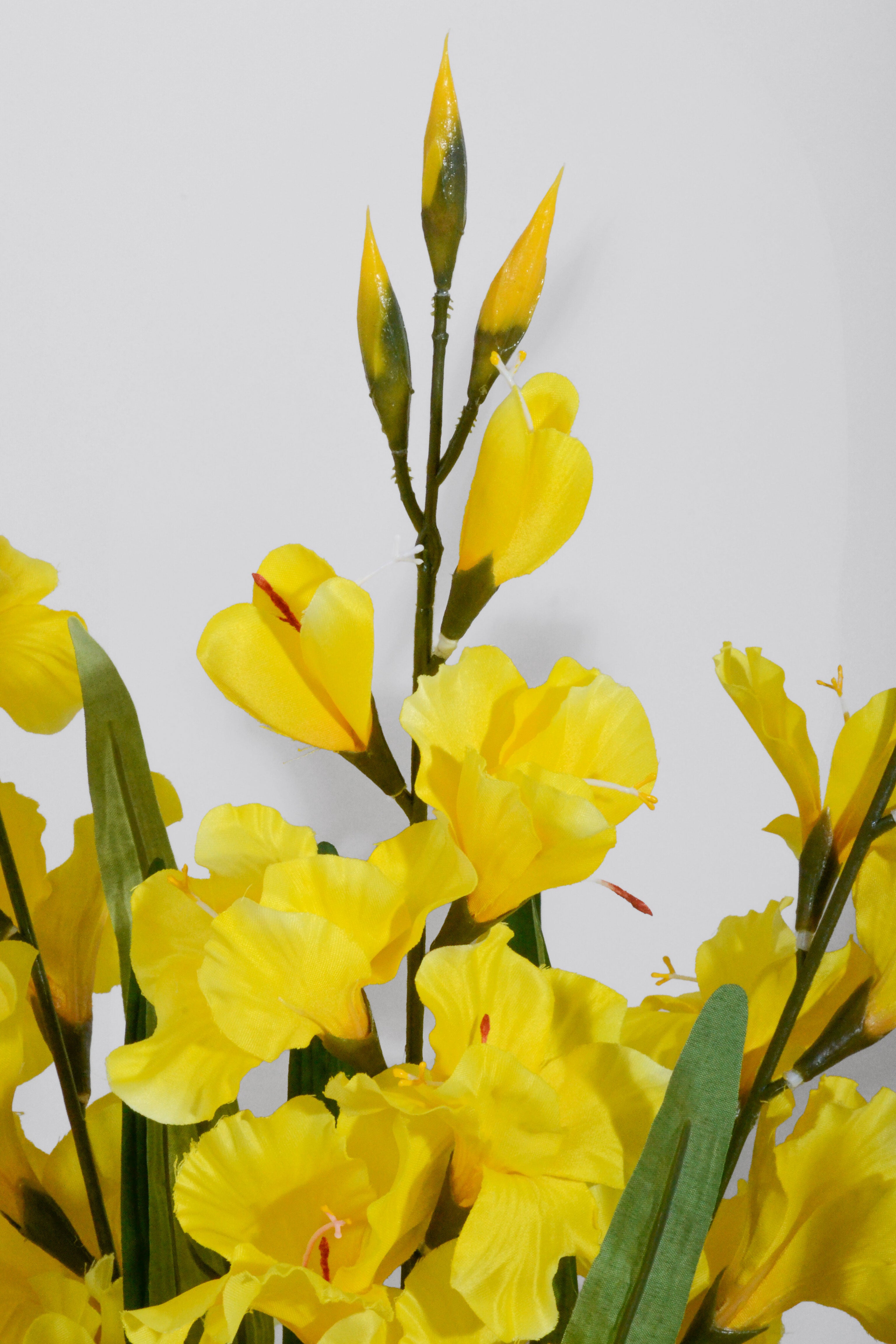 29" Satin Gladiolus Bush Yellow