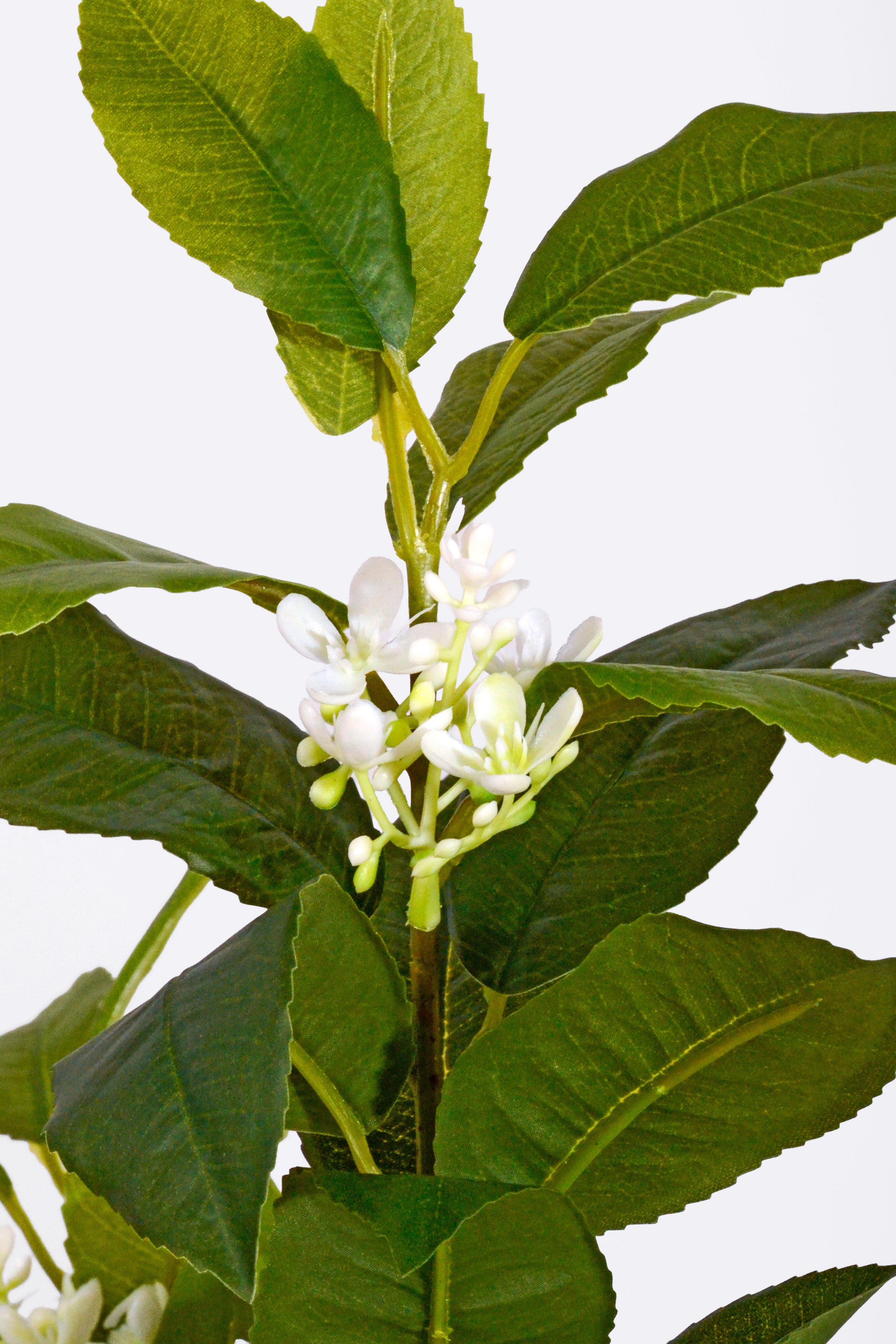 27.5" Artificial Sweet Osmanthus Spray White
