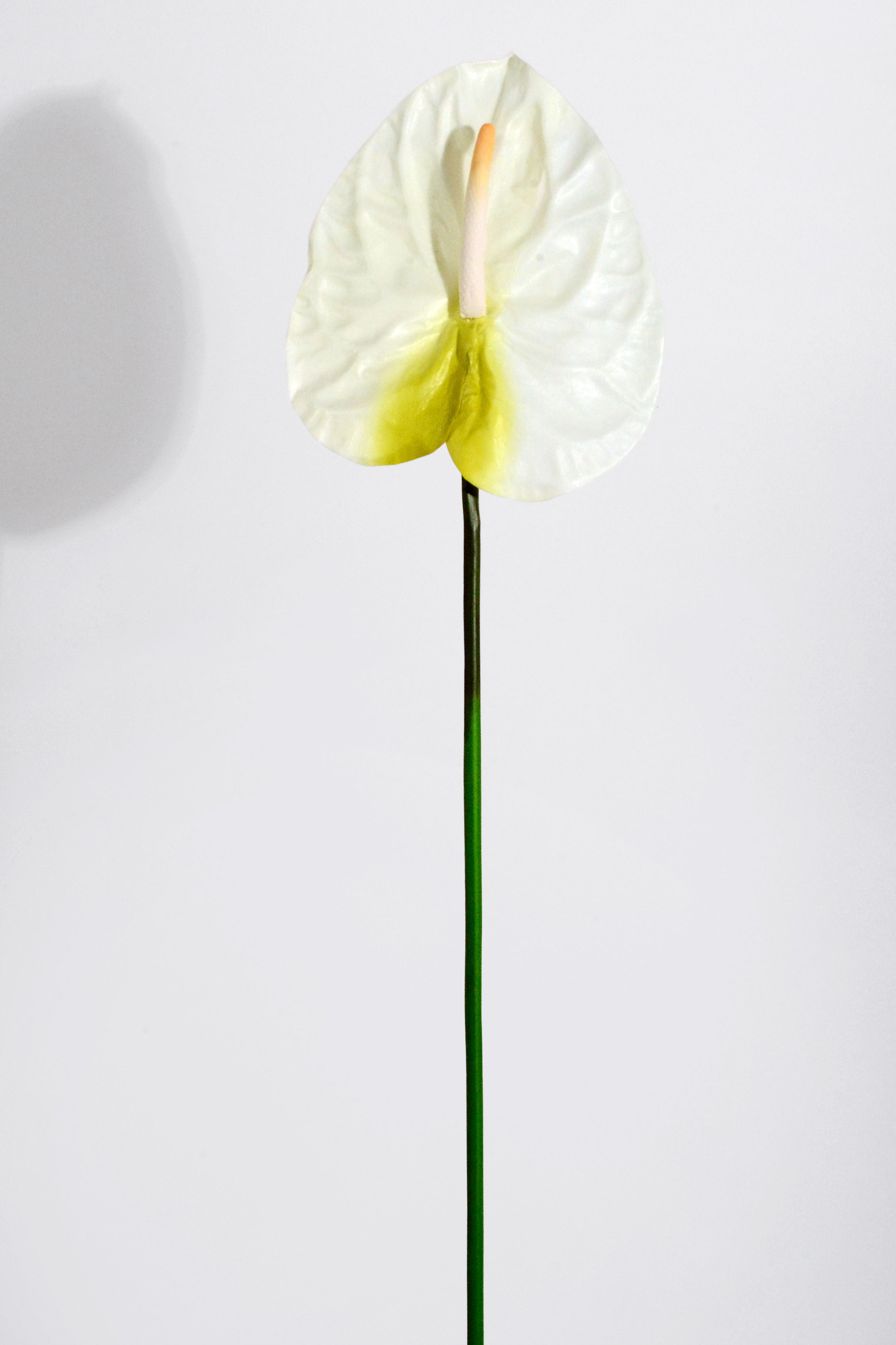 27" Artificial Large Anthurium Spray Cream/White