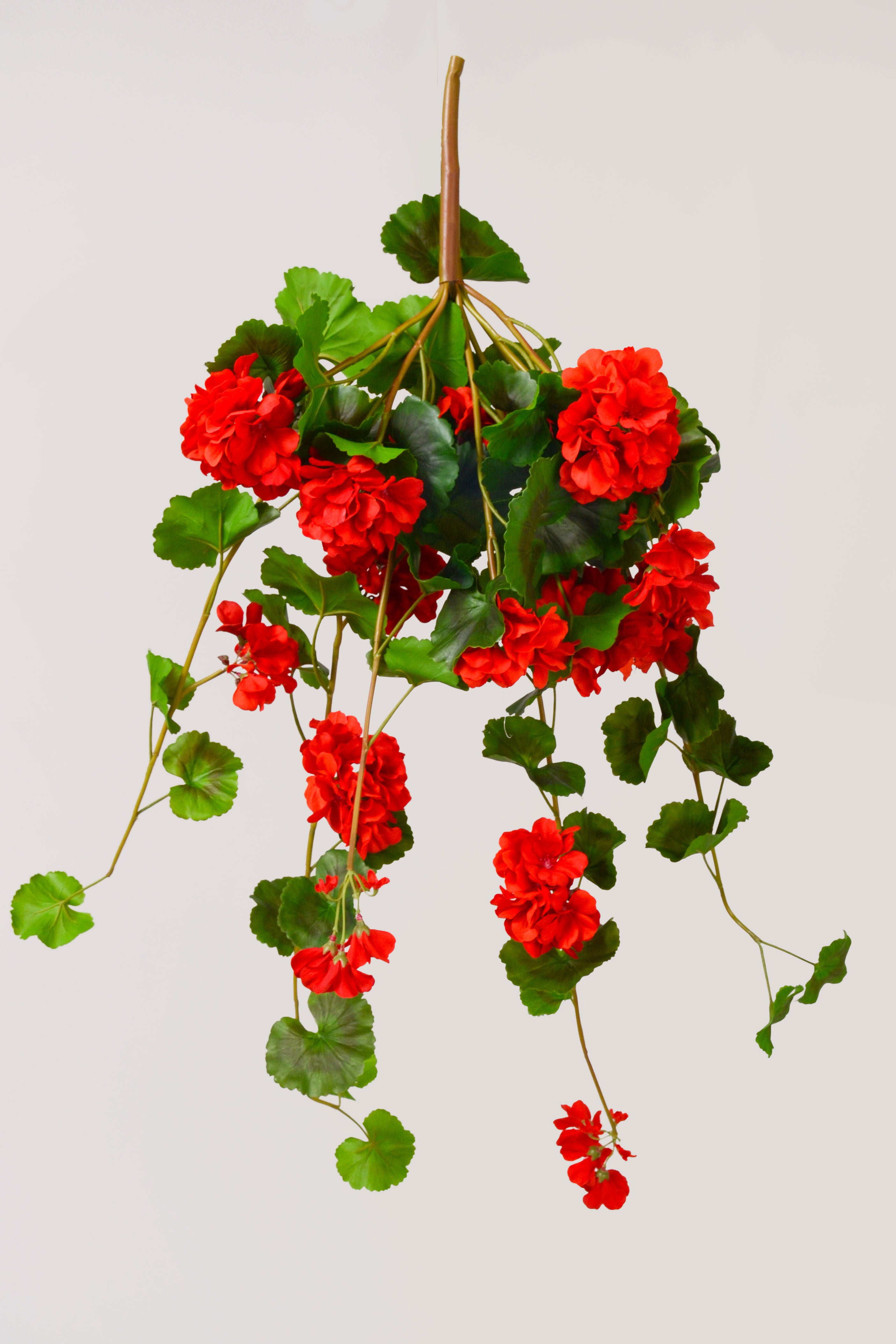 33" Uv Silk Natural Touch Hanging Geranium Red