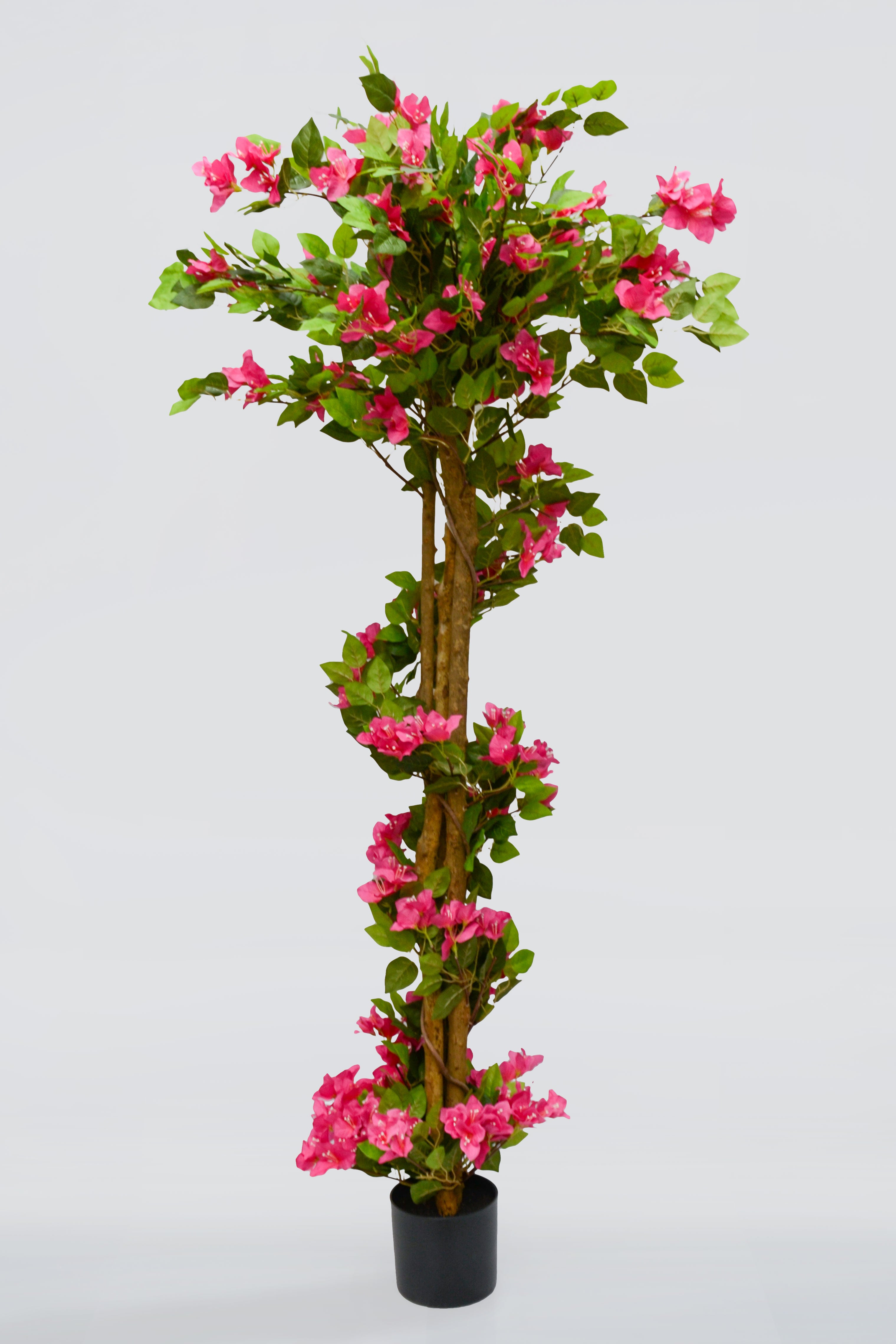 5.5Ft Artificial Bougainvillea Tree In Pot Beauty