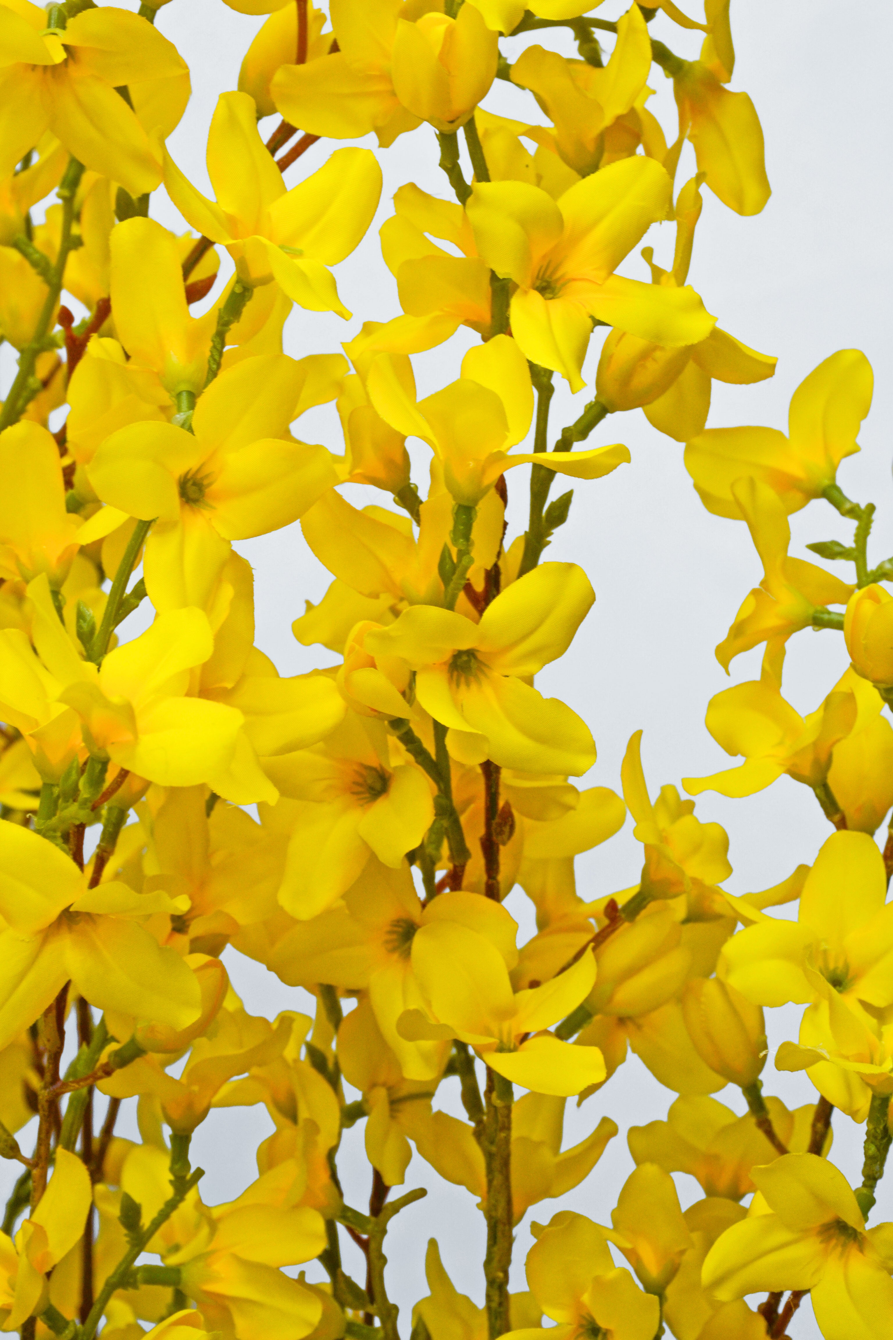 70" Artificial Forsythia Tree In Plastic Pot Yellow