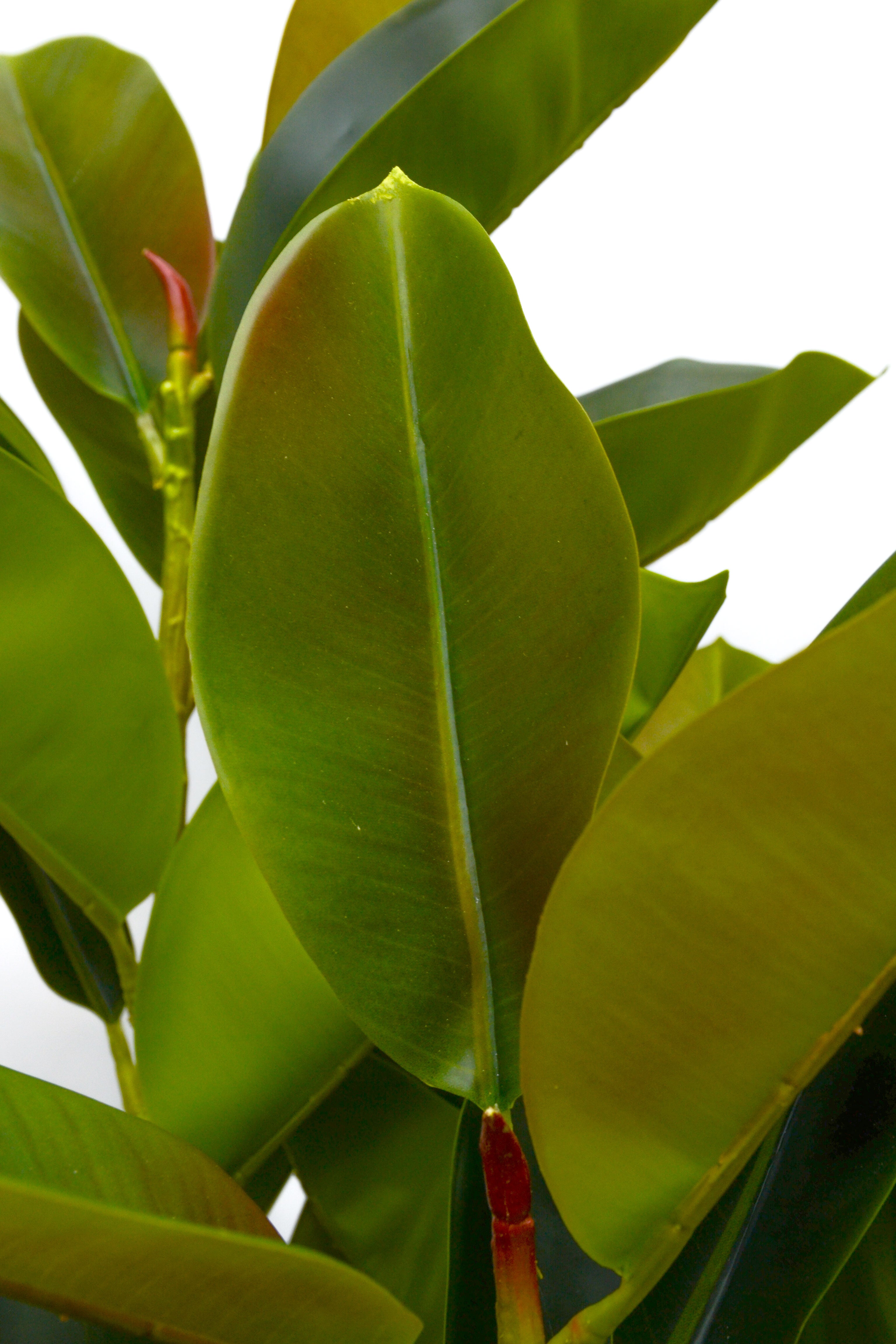 4ft 4in Artificial Rubber Leaf Tree Green