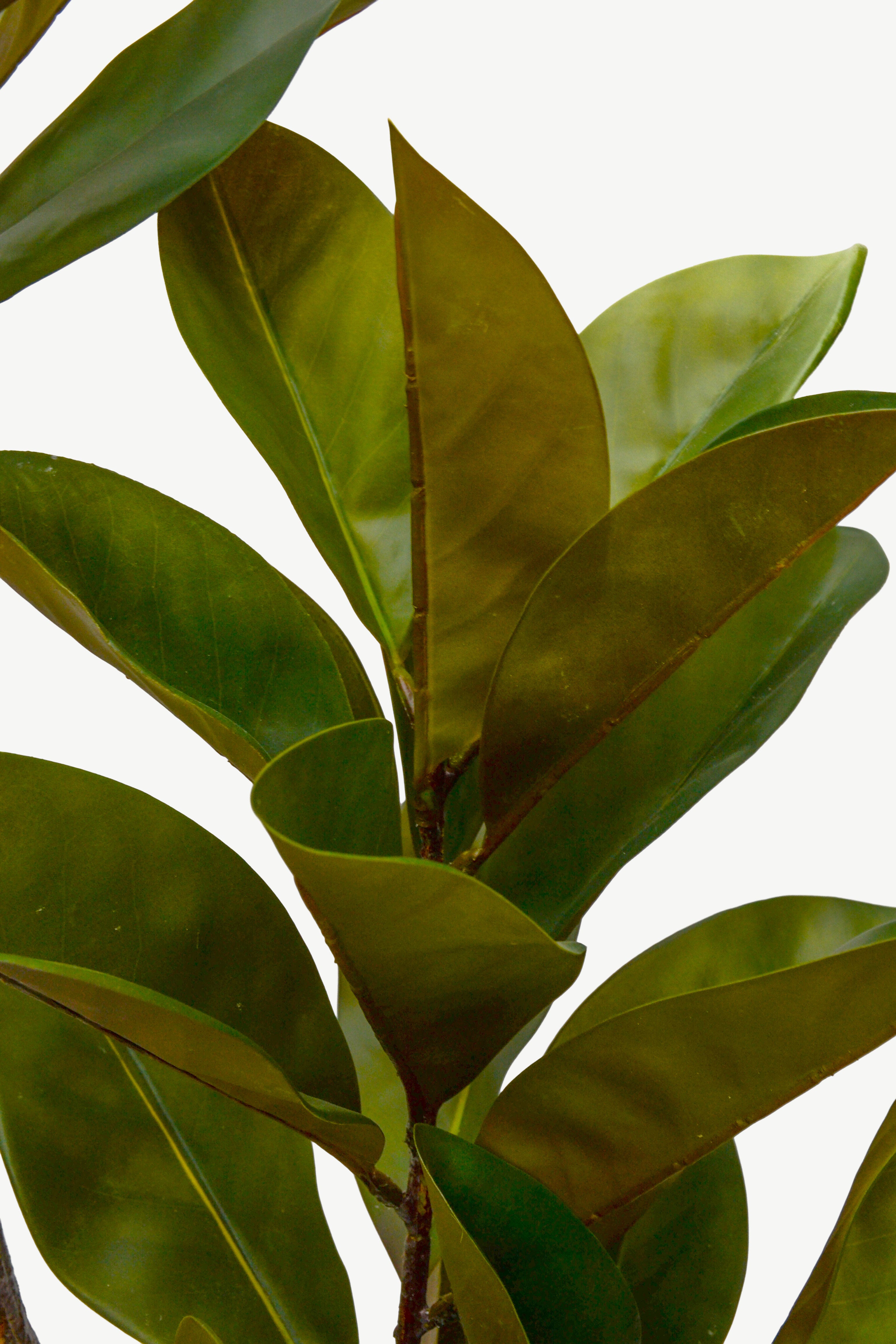 6Ft Artificial Magnolia Leaf Tree Green