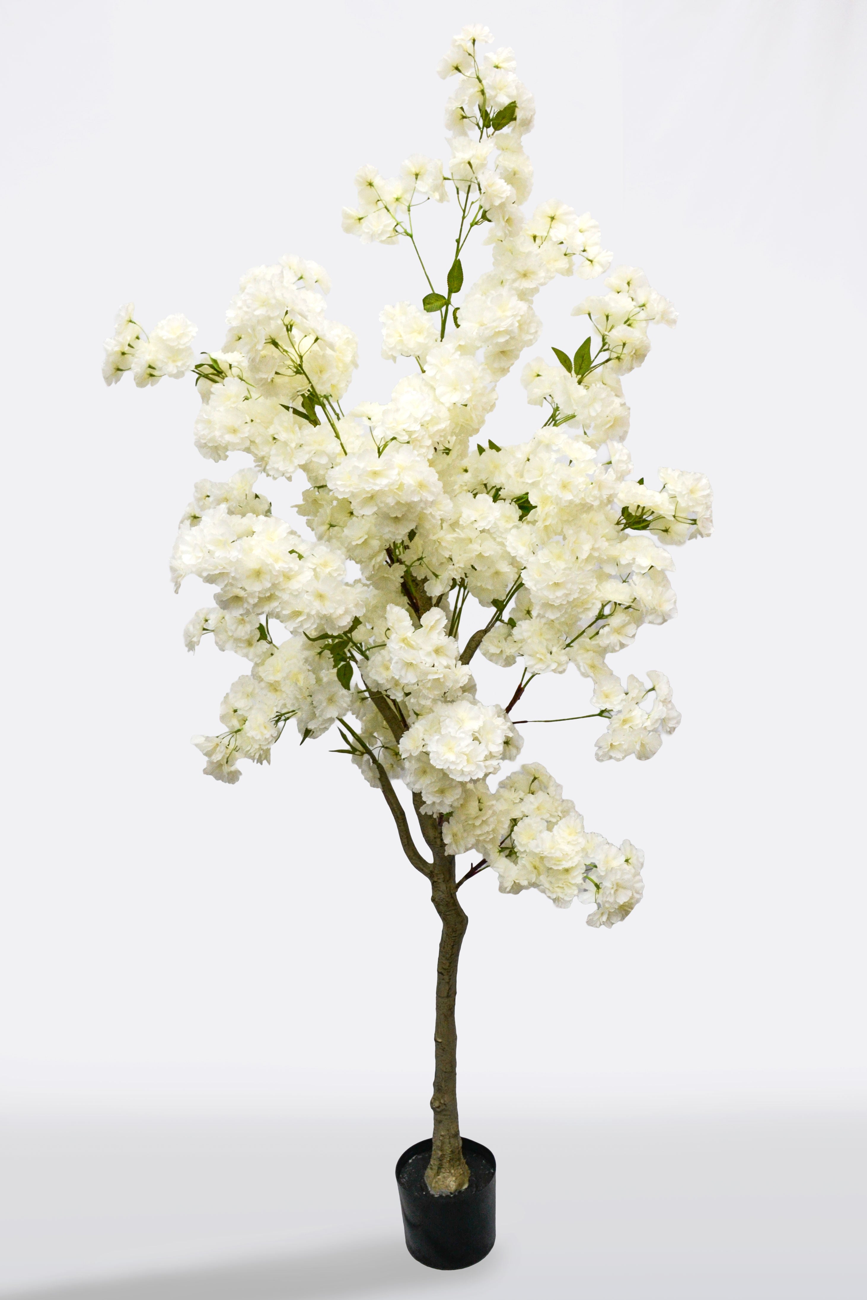 6Ft Artificial Cherry Blossom Tree White