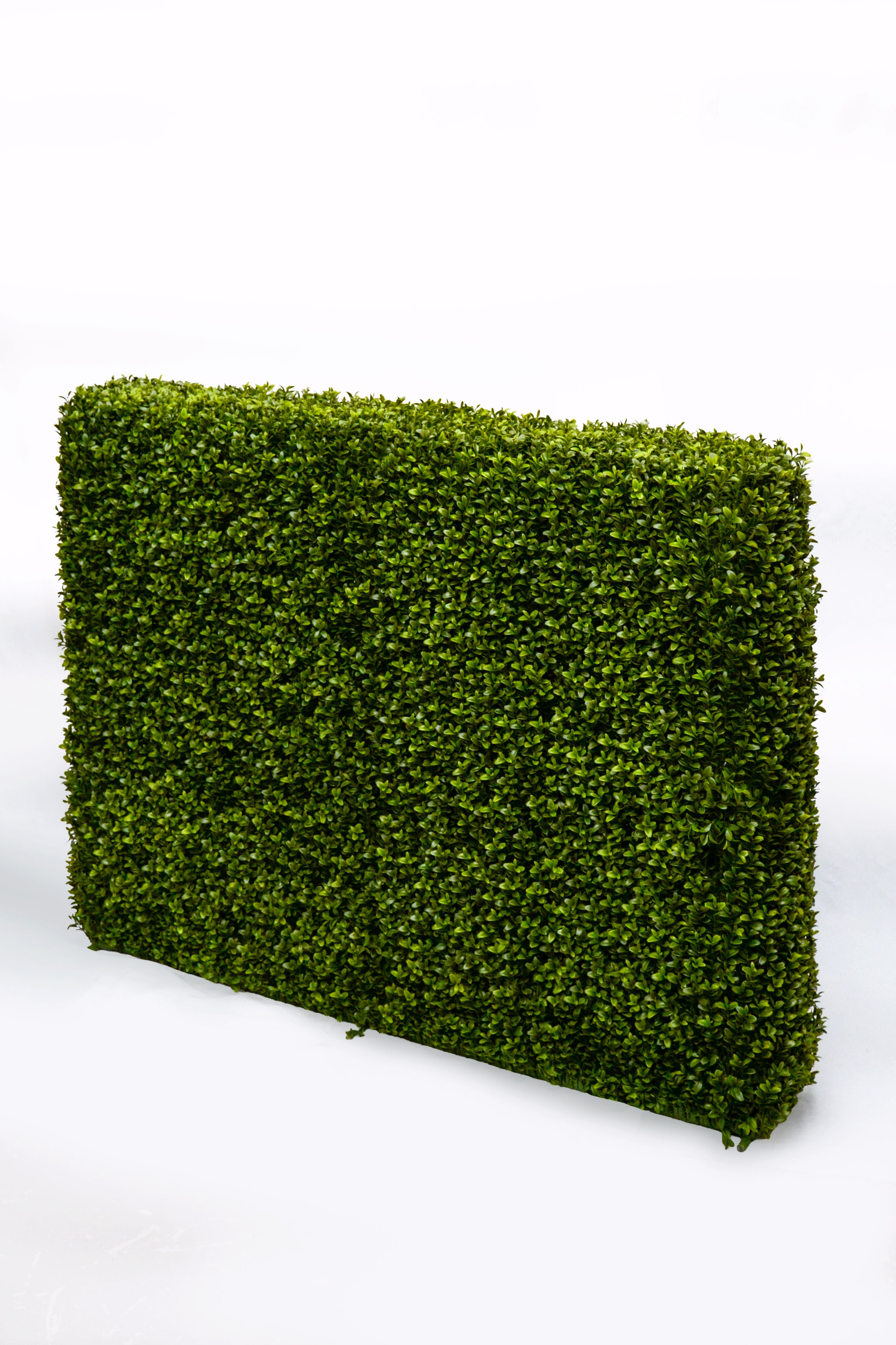 33 x 9 x 46 Boxwood Hedge Two Tone Green