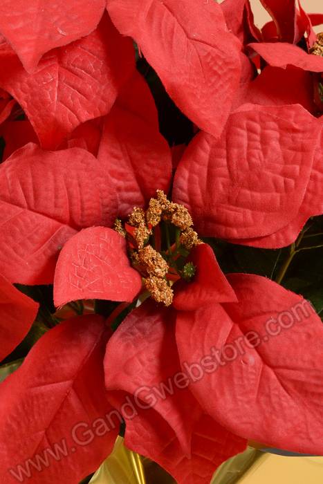 19" Velvet Poinsettia W/paper Pot Red/gold