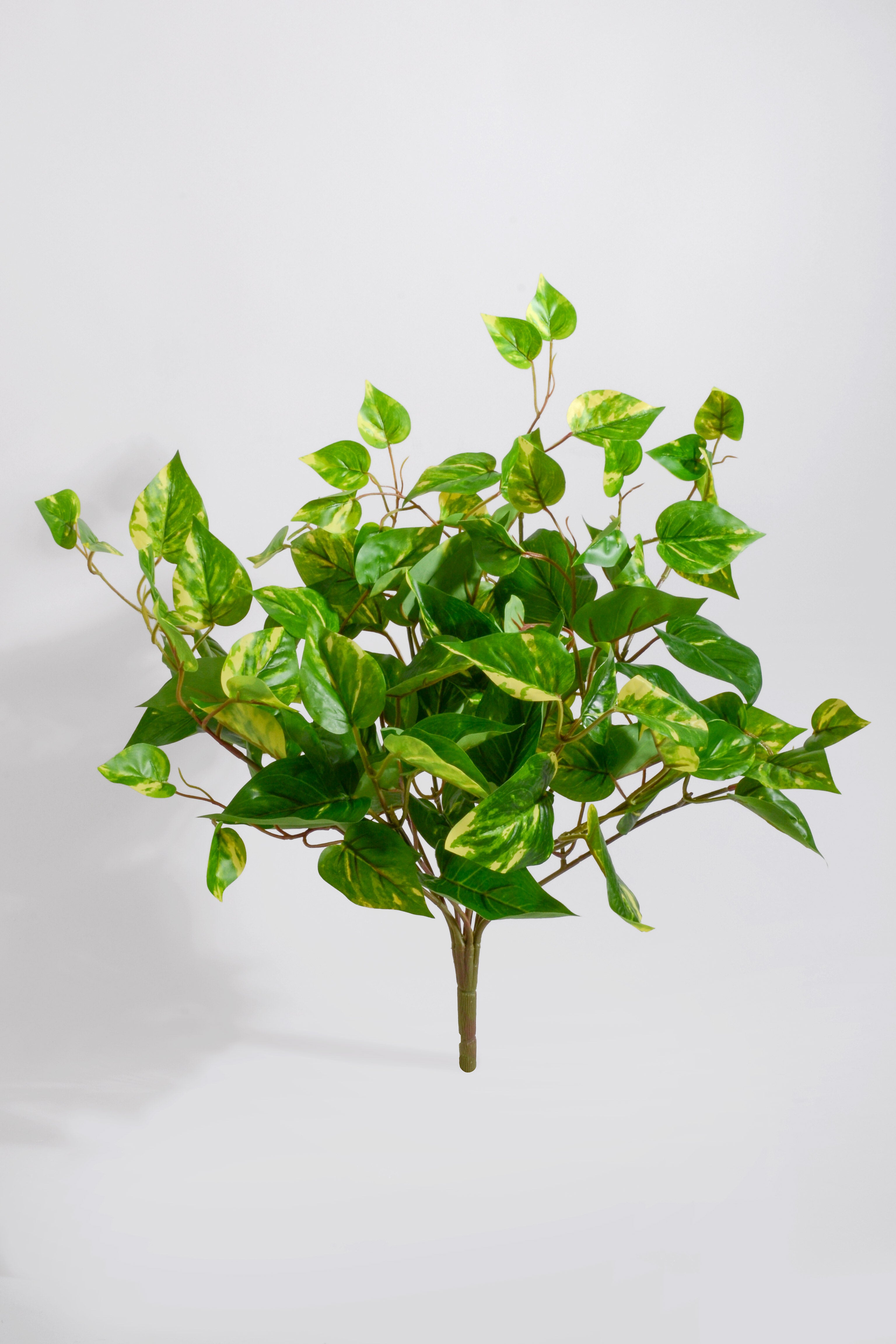 20" Uv Artificial Protected Pothos Bush Green/White