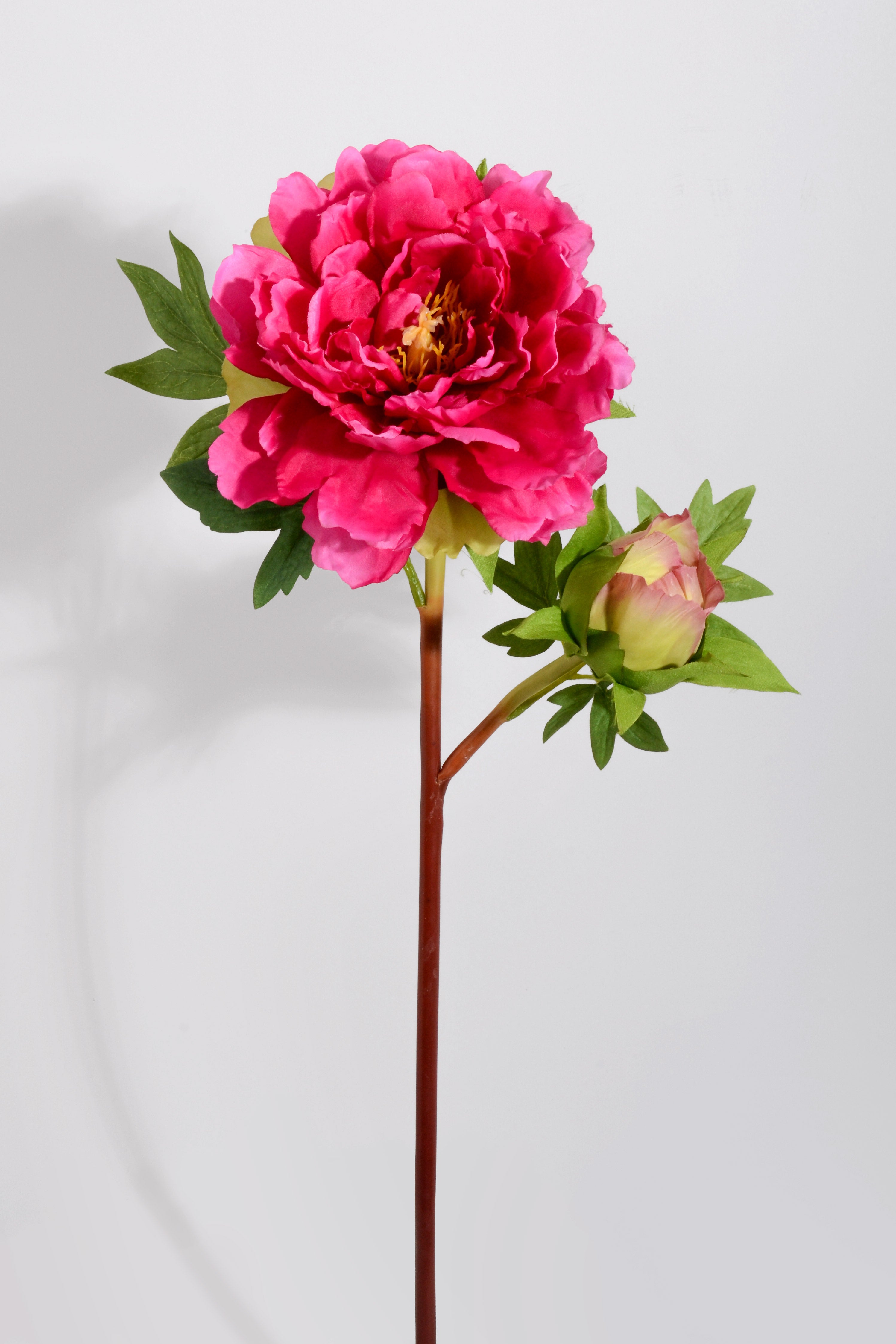 18" Silk Peony Spray Beauty