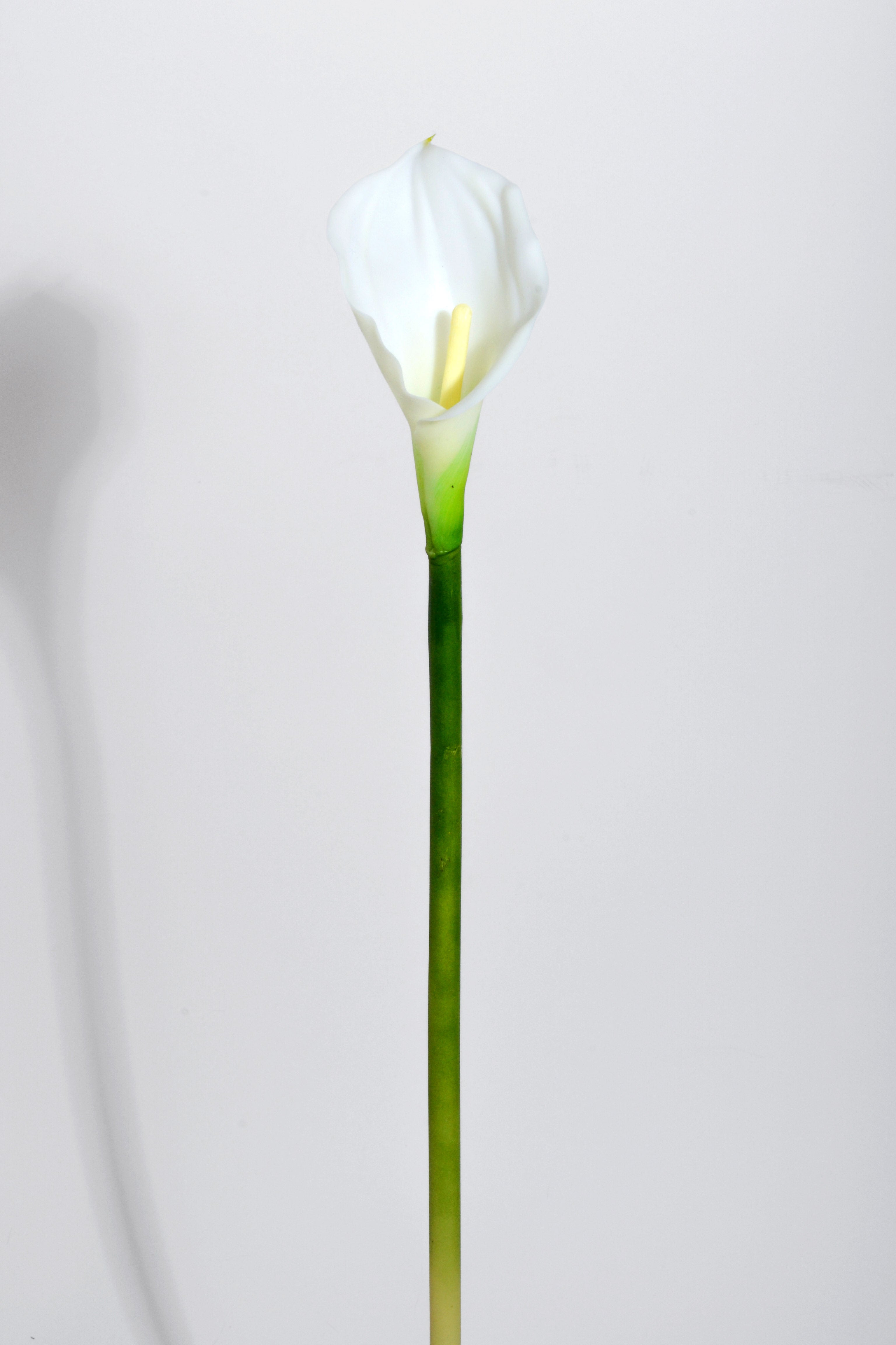 26" Artificial Calla Lily Cream