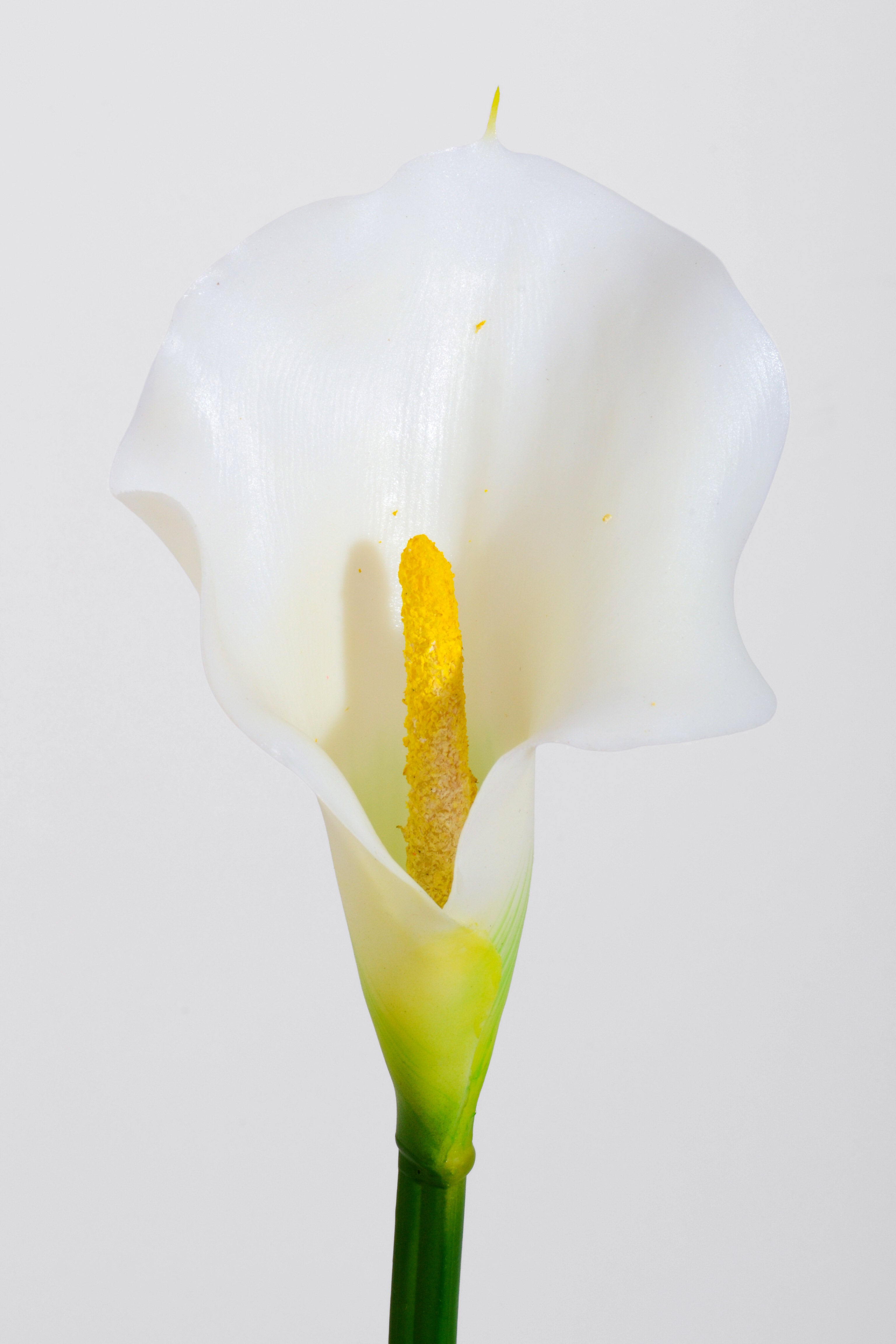 21" Artificial Calla Lily Stem White