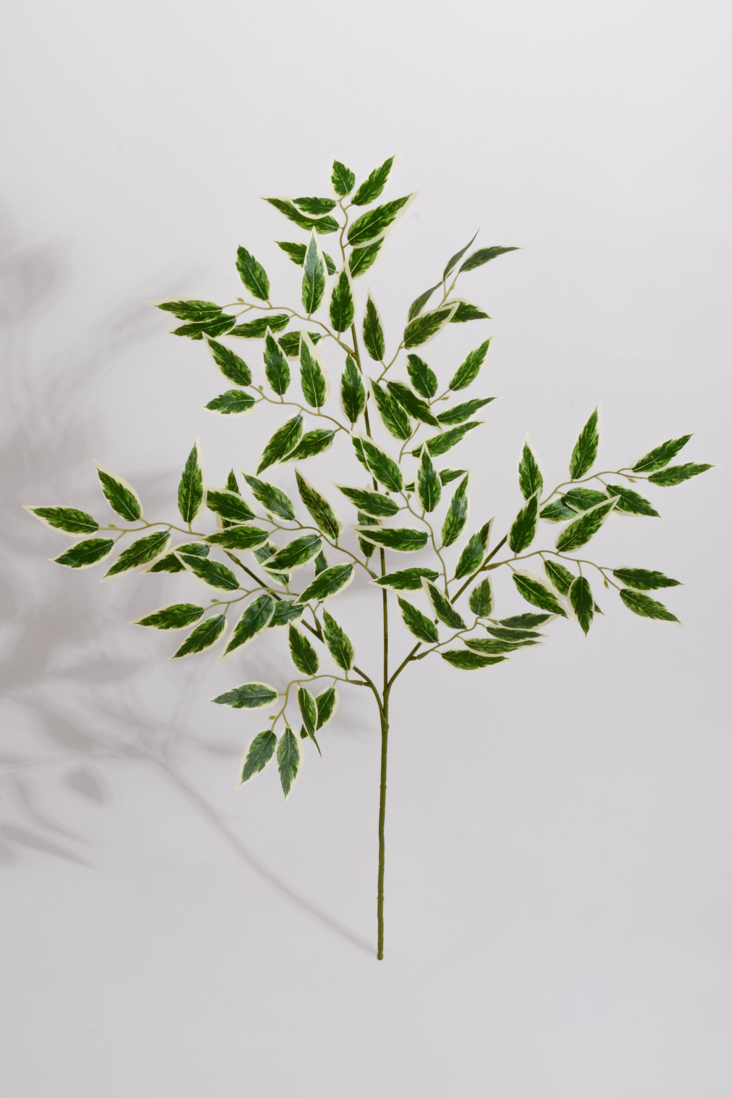 25" Artificial Ruscus Leaf Variegated/Green