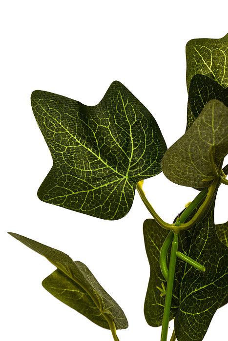 12" Ivy Leaf Bush Green