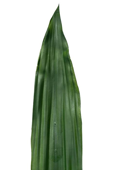36" Sword Leaf Spray Green