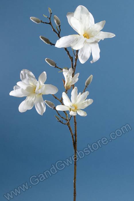 41" Silk Magnolia Spray Cream