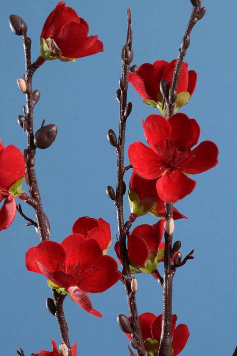 51" Silk Plum Blossom Spray Red