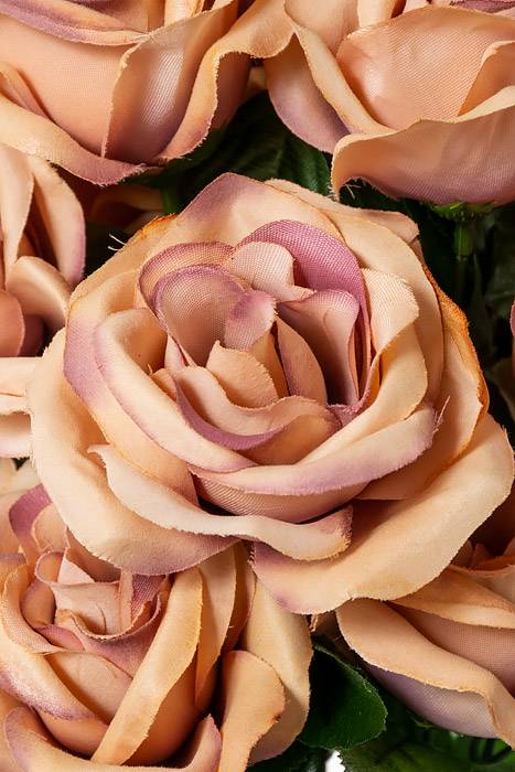 22" Silk Mirco Peach Rose Bush X18 Mvpu