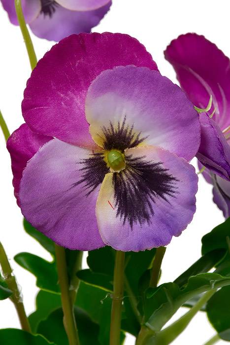 15" Silk Pansy Spray Violet/two Tones