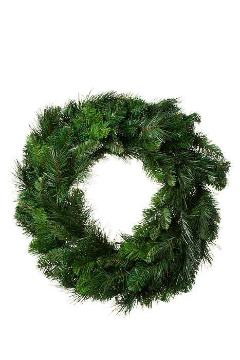 24" Deluxe Evergreen