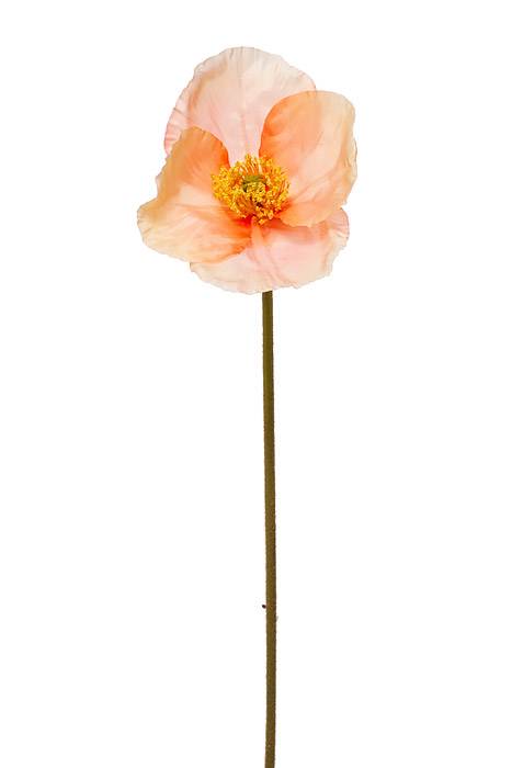 24" Silk Poppy Spray Salmon