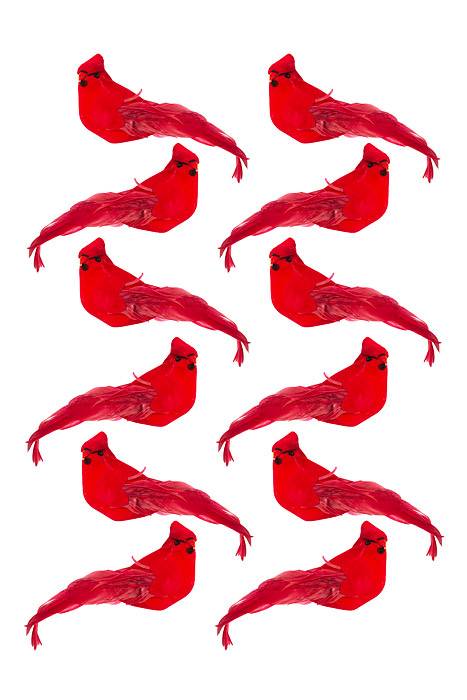 5" Cardinal Red Bx/12